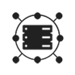 Network Administrators